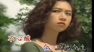 罗时丰、张秀卿 - 心碎的抱歉