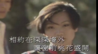 刘海波 - 人面桃花