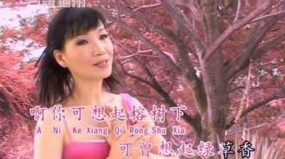 刘秋仪 - 榕树下 (KTV版)