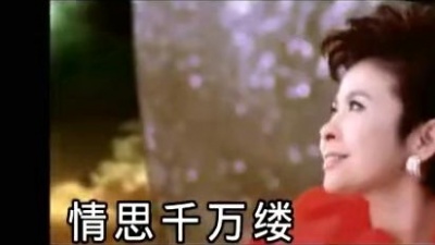 董文华 - 一年又一年
