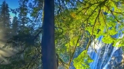 小约 - 千百惠一首《黄昏的街头》怀旧老歌，甜美醉人！
