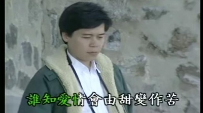 洪荣宏 - 相思雨