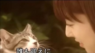徳永英明 - 爱が哀しいから