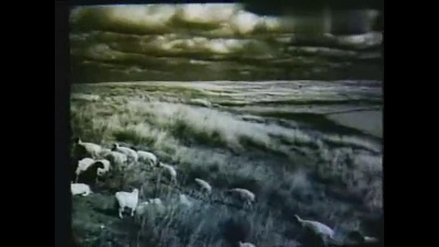 温明兰 - 牧羊歌
