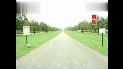 杨燕 - 土拨鼠