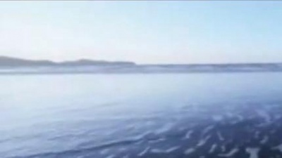 乔洋、胡丹丹 - 美美的