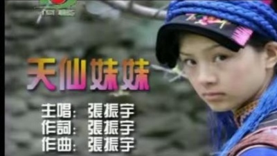 张振宇 - 天仙妹妹