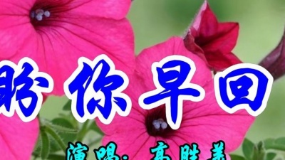 完美音乐空间 - 高胜美一首经典情歌《盼你早回头》好听极了