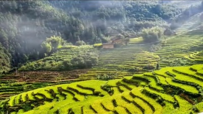 汽车博主 - 《狱中四梦》李德红