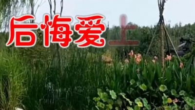 音乐吧 - 林淑容一首《后悔爱上你》婉转动听，心碎凄美，百听不腻！