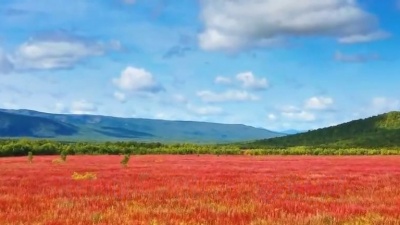 宸荨樱桃 - 经典名曲《Rainbow River彩虹河》纯音乐！