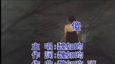 魏如昀 - 傻