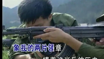 阎维文 - 红叶寄情