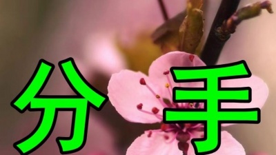 音乐分享人 - 伤感情歌，李玲玉一曲《分手》伤感极了