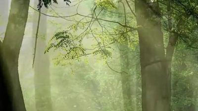 圈内老铁 - 《清晨十分》女声吟唱：卡洛儿