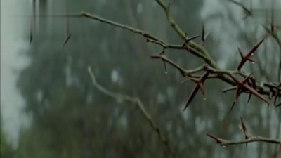 Taylor Swift - Safe & Sound (The Hunger Games: Songs From District 12 And Beyond)