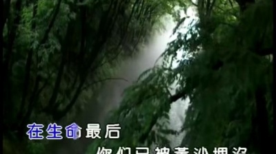 黑豹乐队 - 绿色劫难 (KTV版)