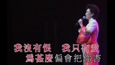 潘迪华 - 爱你变成害你