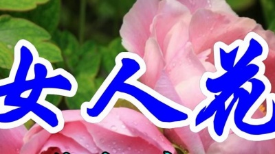 中文金曲 - 经典好歌，童丽一首《女人花》好听至极