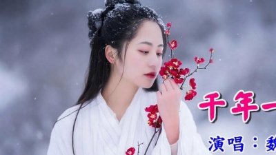 宝军 - 《千年一夢》 魏新雨