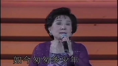 吴莺音 - 恨不钟情在当年
