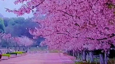 江南烟雨 - 一生永相随