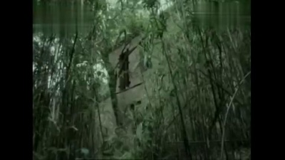 Matryoshka - Sink Into The Sin