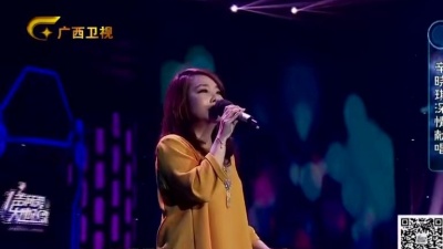 辛晓琪、一声所爱·大地飞歌 - 深情难了