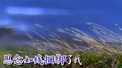 梓秋 - 一个失恋的木偶-孟庭苇