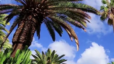 R&b - 多一天爱一点