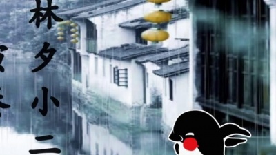 柠檬味的皮卡丘 - 琵琶弹奏 墨明棋妙《雨碎江南.印象》 经典古风音乐！