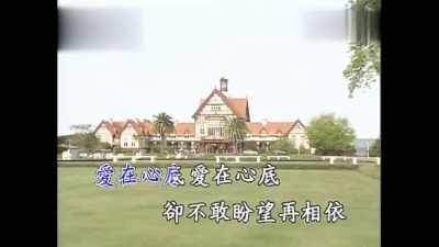 李茂山 - 飘香梦 (KTV版)