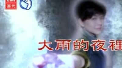 张清芳 - 大雨的夜里