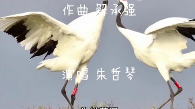凌凌漆同学 - 朱哲琴：《一个真实的故事》（丹顶鹤的故事）