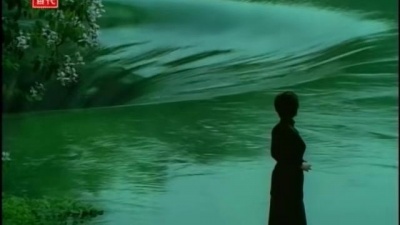 张清芳 - 花雨夜