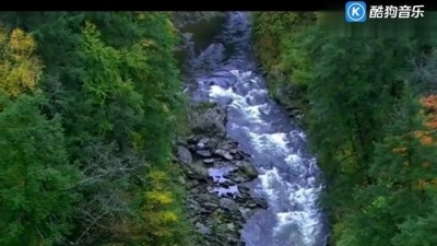 풍경(风景) - Dreaming In The Moonlight Bandari