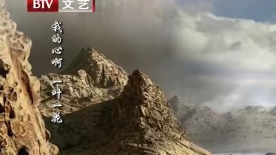 敬善媛 - 心经