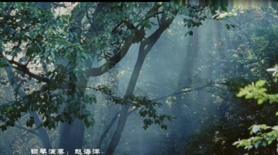 赵海洋 - 深林奇境