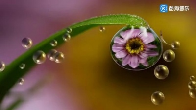梅雨西子 - 班德瑞 轻音乐《迷雾水珠》风笛深沉典雅，优静舒缓