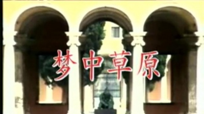 李琛 - 梦中草原