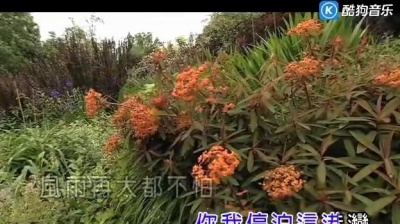 吴涤清 - 家是温柔的港湾