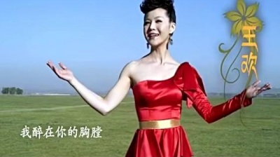 王欢 - 天边花正香