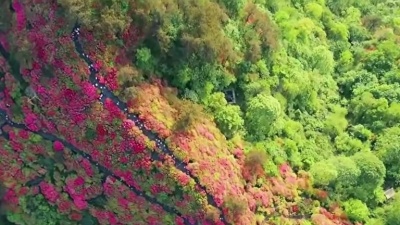 五音本草 - 经典怀旧金曲《十送红军》二胡古筝奏，旋律优美动听