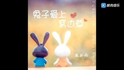 魏新雨 - 兔子爱上窝边草(DJ默涵版)