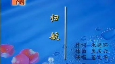 董文华 - 归航