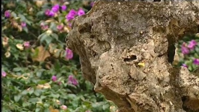 蒋大为 - 献给妻子的歌