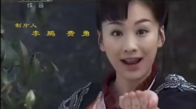 傅晓丽、释小龙 - 孔雀翎