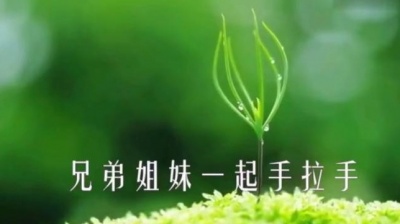 陈星 - 决不回头