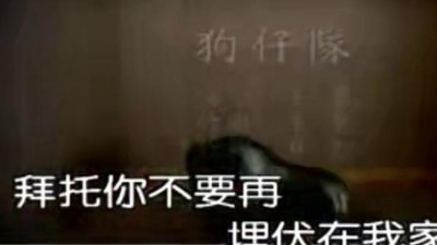 王蓉 - 狗仔队