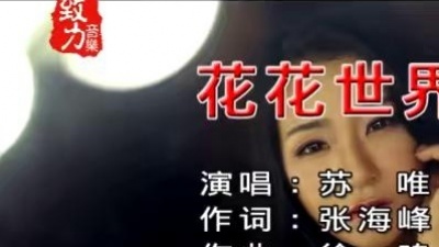 苏唯 - 花花世界